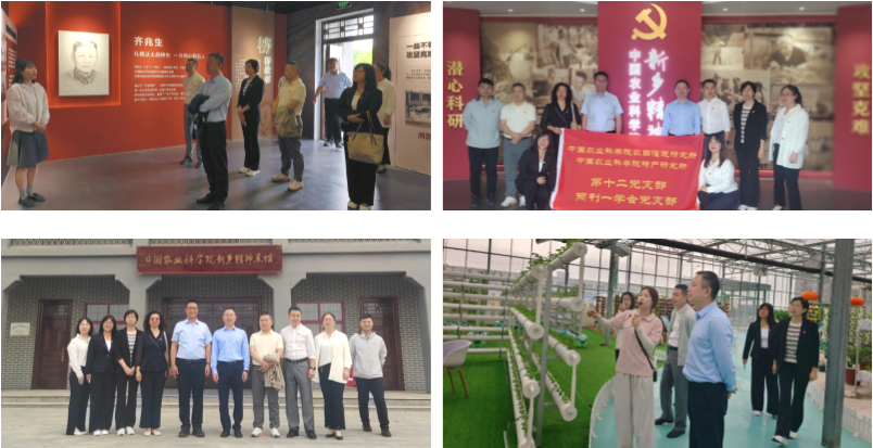 默认标题__2025-05-26+17_39_27.png