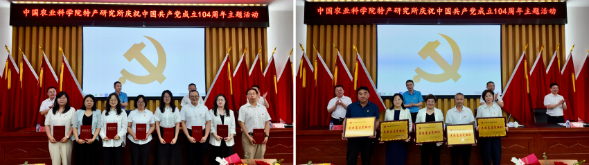 WPS拼图2.png