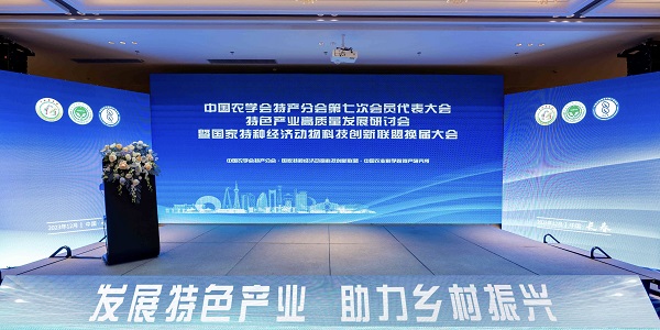 890.jpg
