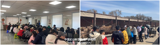 WPS拼图8.png
