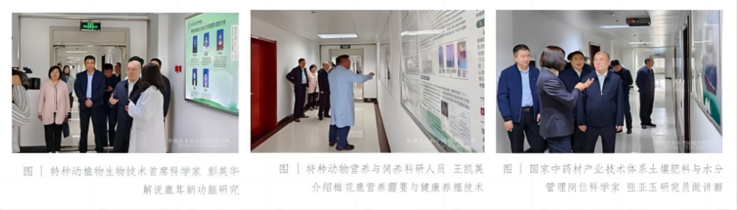 WPS拼图1.png