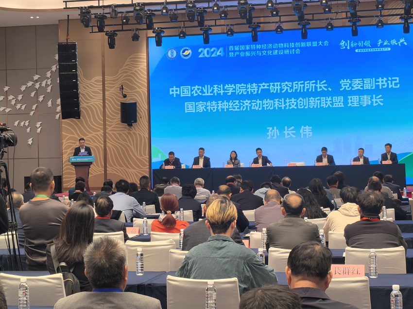 图片17.jpg
