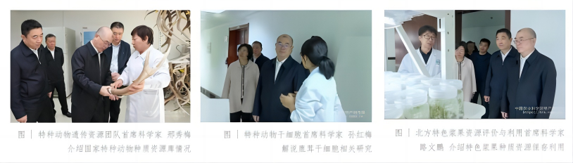 WPS拼图0.png