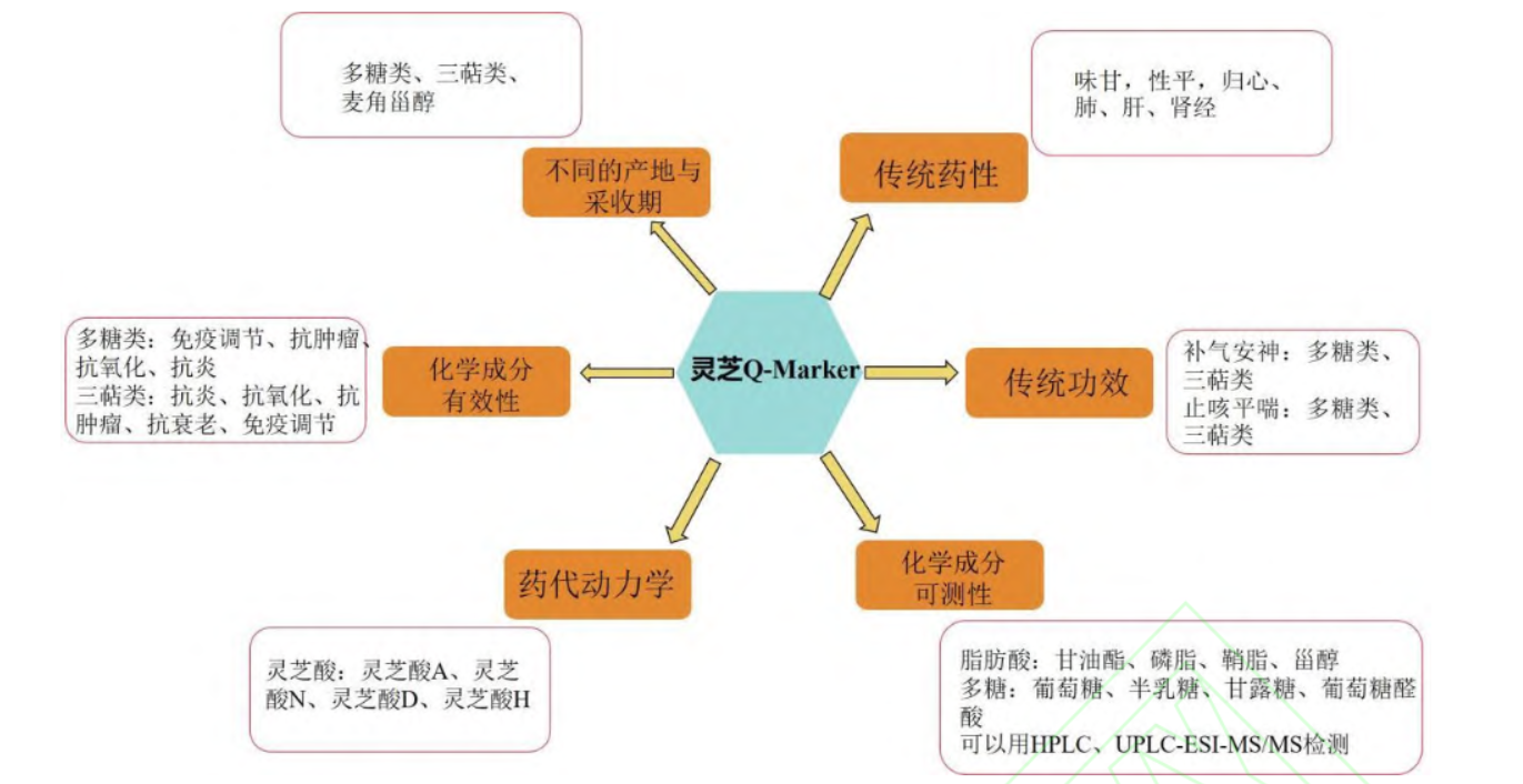 创15-7.png