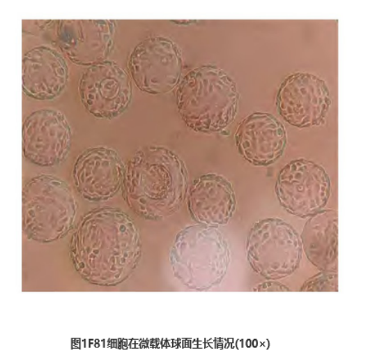 dbf453cb4d8fdd89b511b6cfb0d47aa4.png