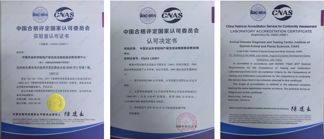 4d5eea97d5ca9136acd6029ff59ac048.png