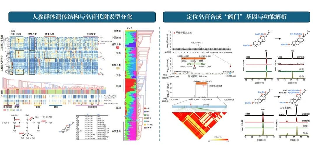微信图片_2026-08-31_103338_156.jpg